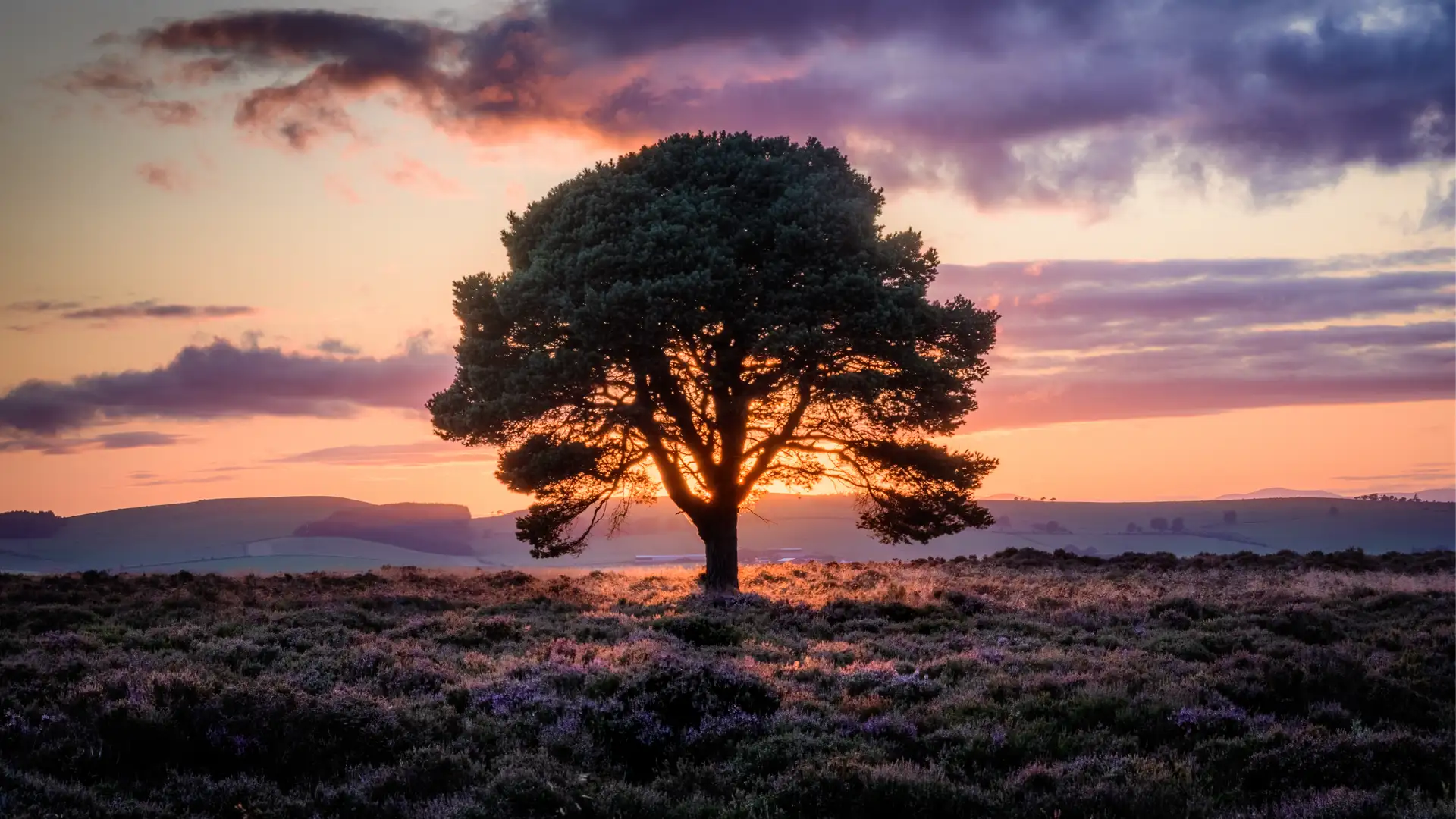 Be Still and Know that I Am God