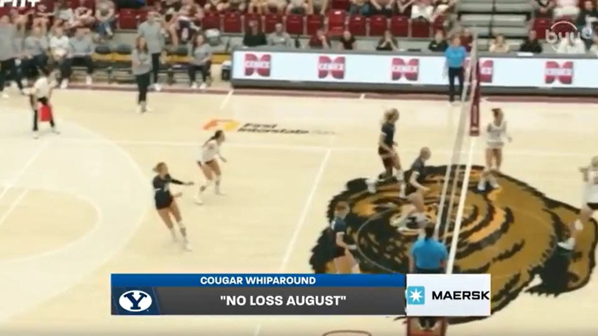 Cougar Whiparound