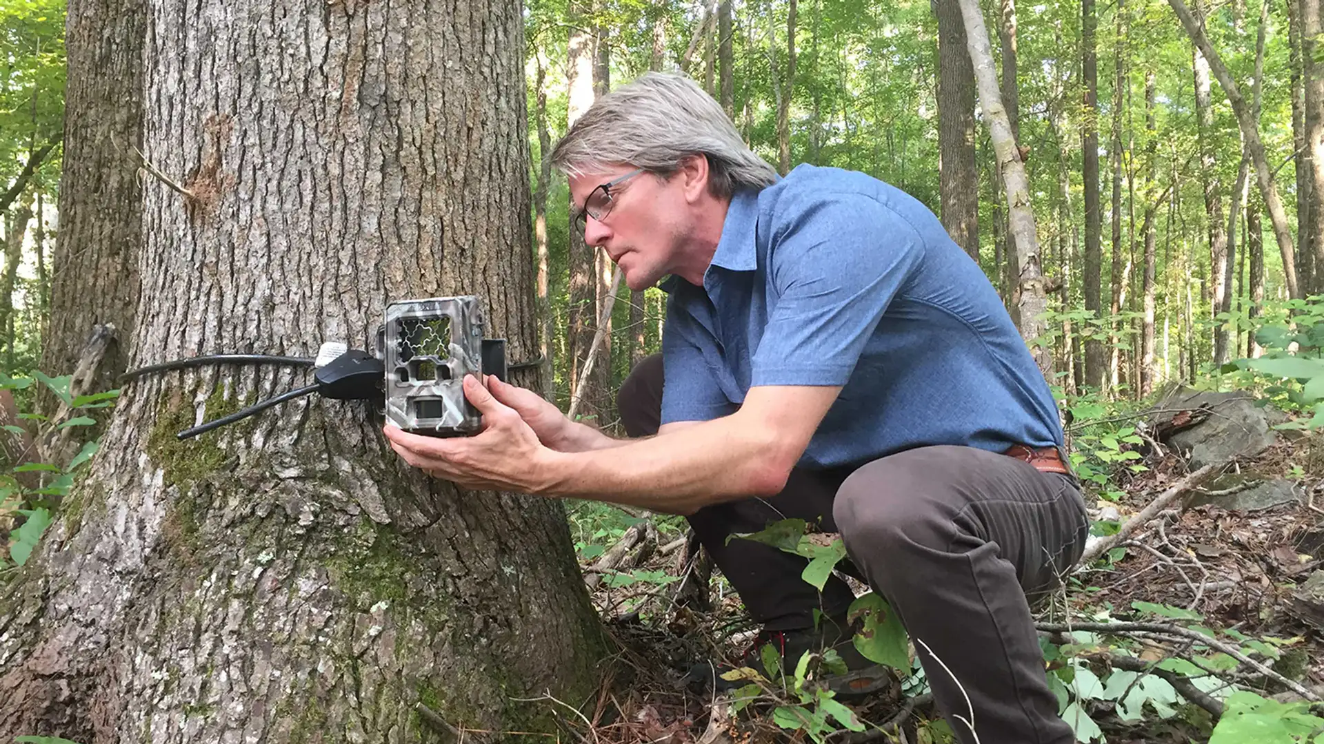 Using New Technology to Track Animals