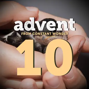 Peace in Waiting - December 10