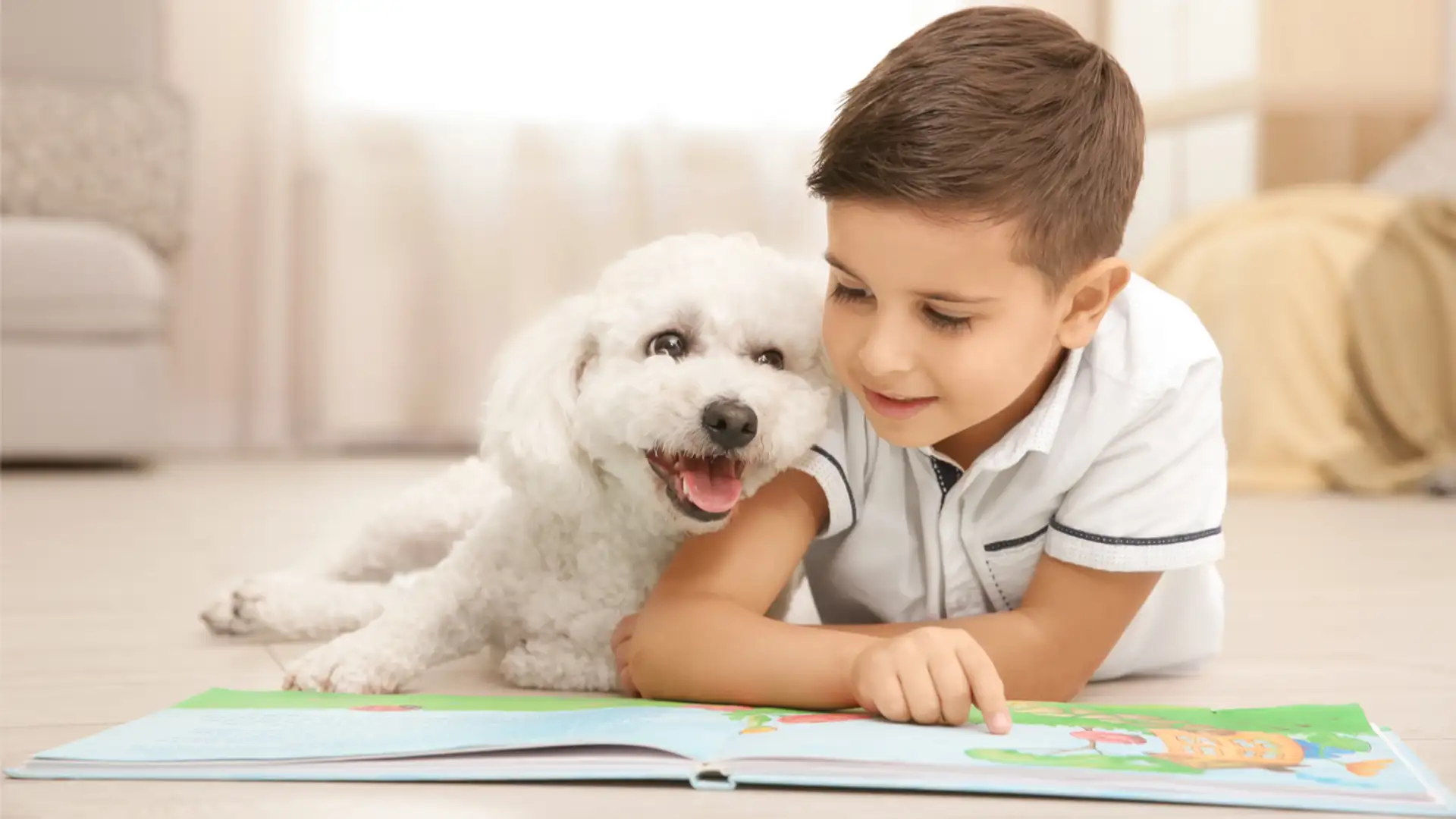 Illustrator's Process, READ Dogs, Children's Theater