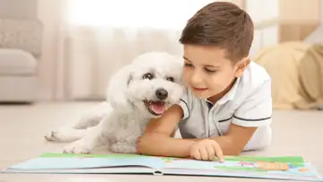 Illustrator's Process, READ Dogs, Children's Theater