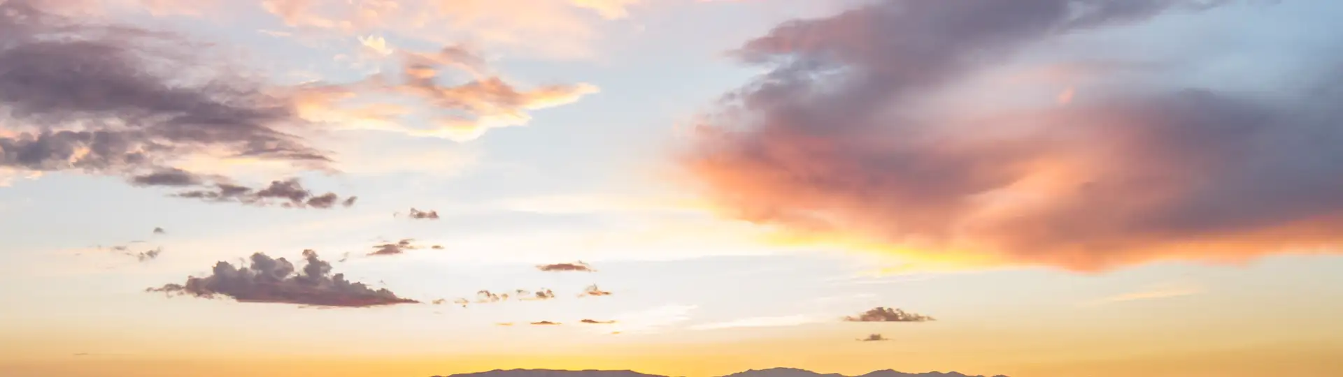 Scripture Study in a Whole New Way