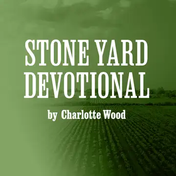 "Stone Yard Devotional" by Charlotte Wood