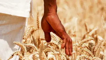 Black Farmers