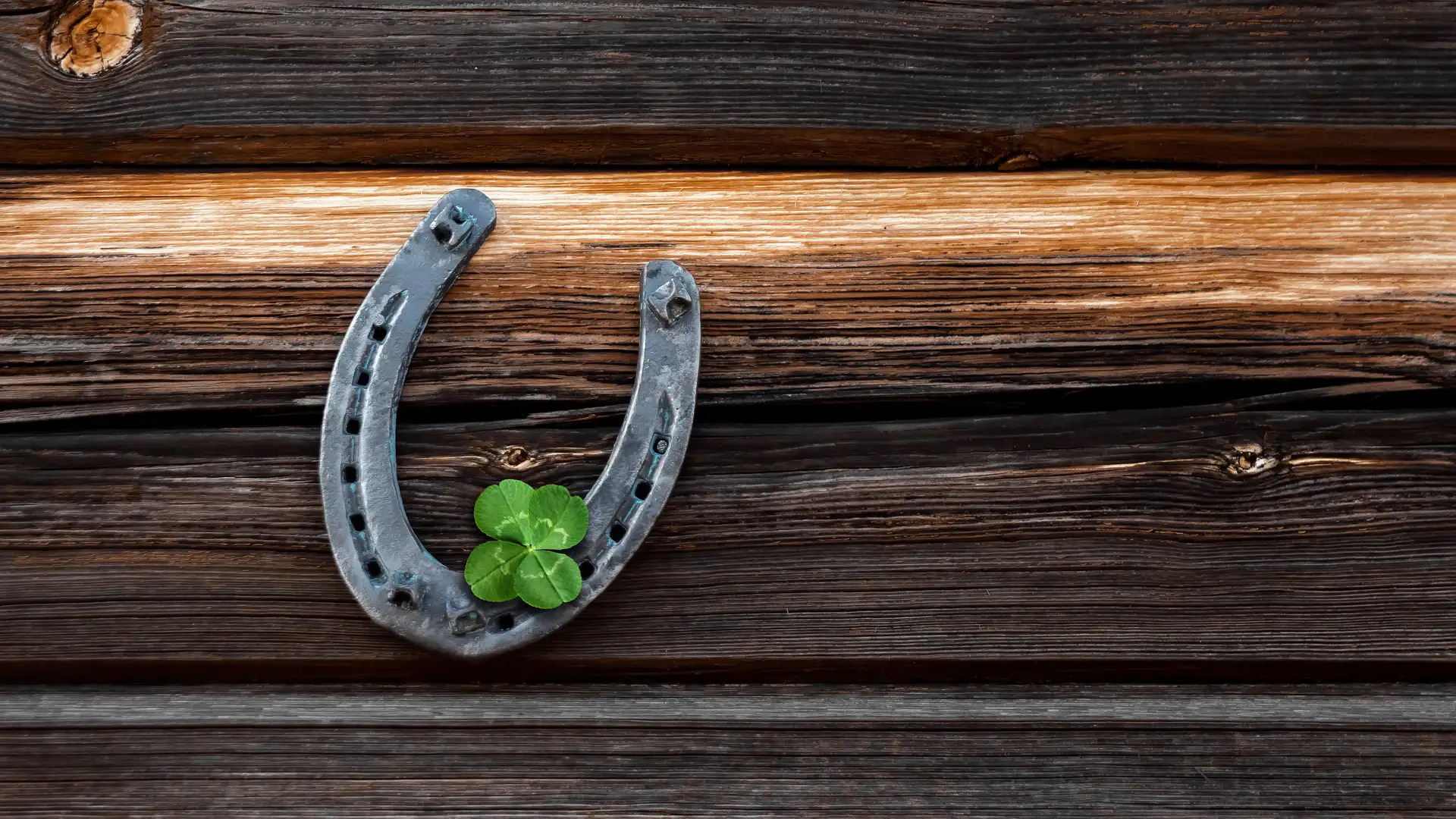 Billy Beg and His Bull by Milbre Burch