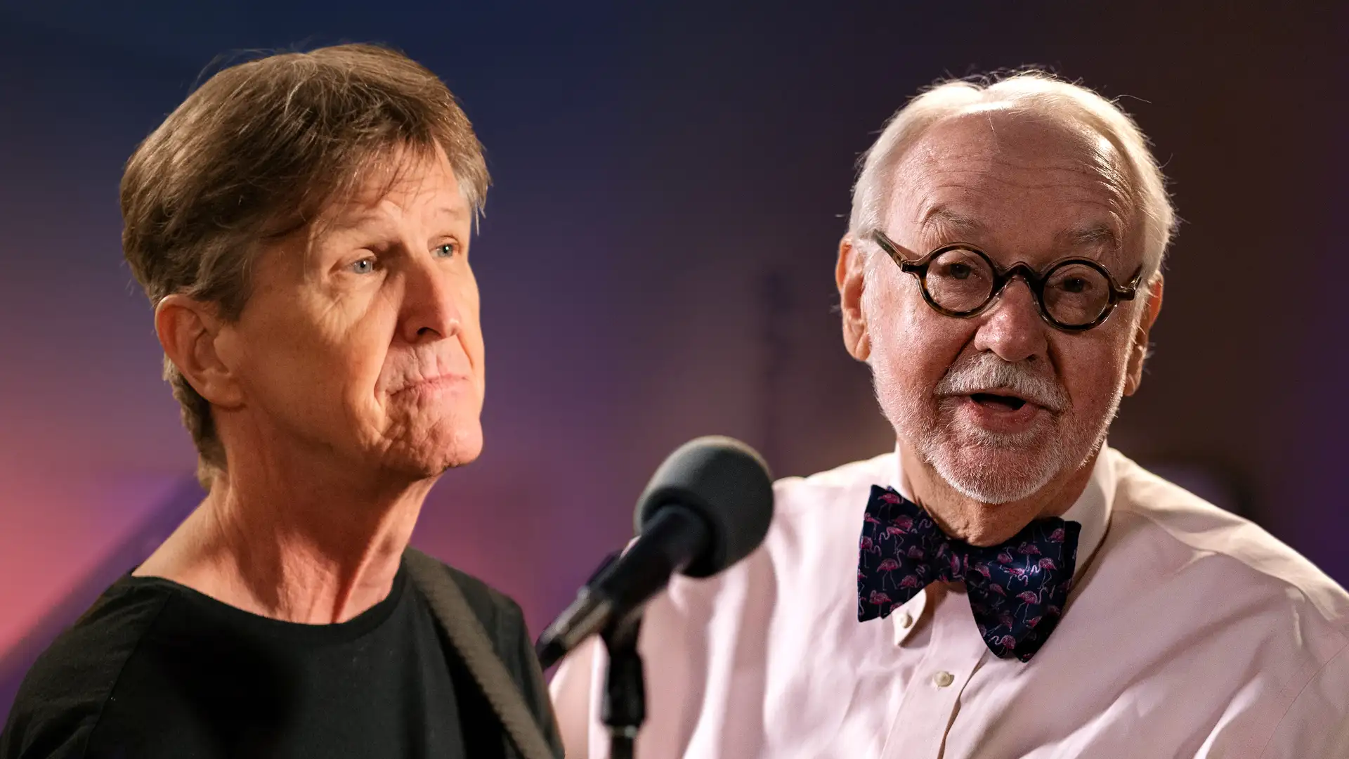 Don't Kill Santa! - Holiday Stories by Donald Davis and Andy Offutt Irwin