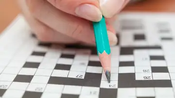 Puzzle Purveyor