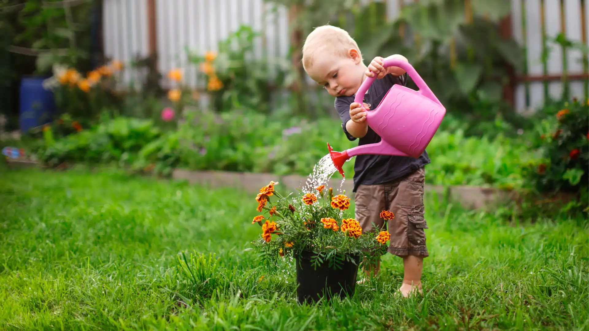 Our Earthly Stewardship