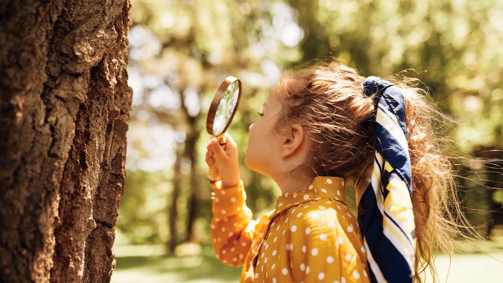 Three-Letter Lesson #30: SEE