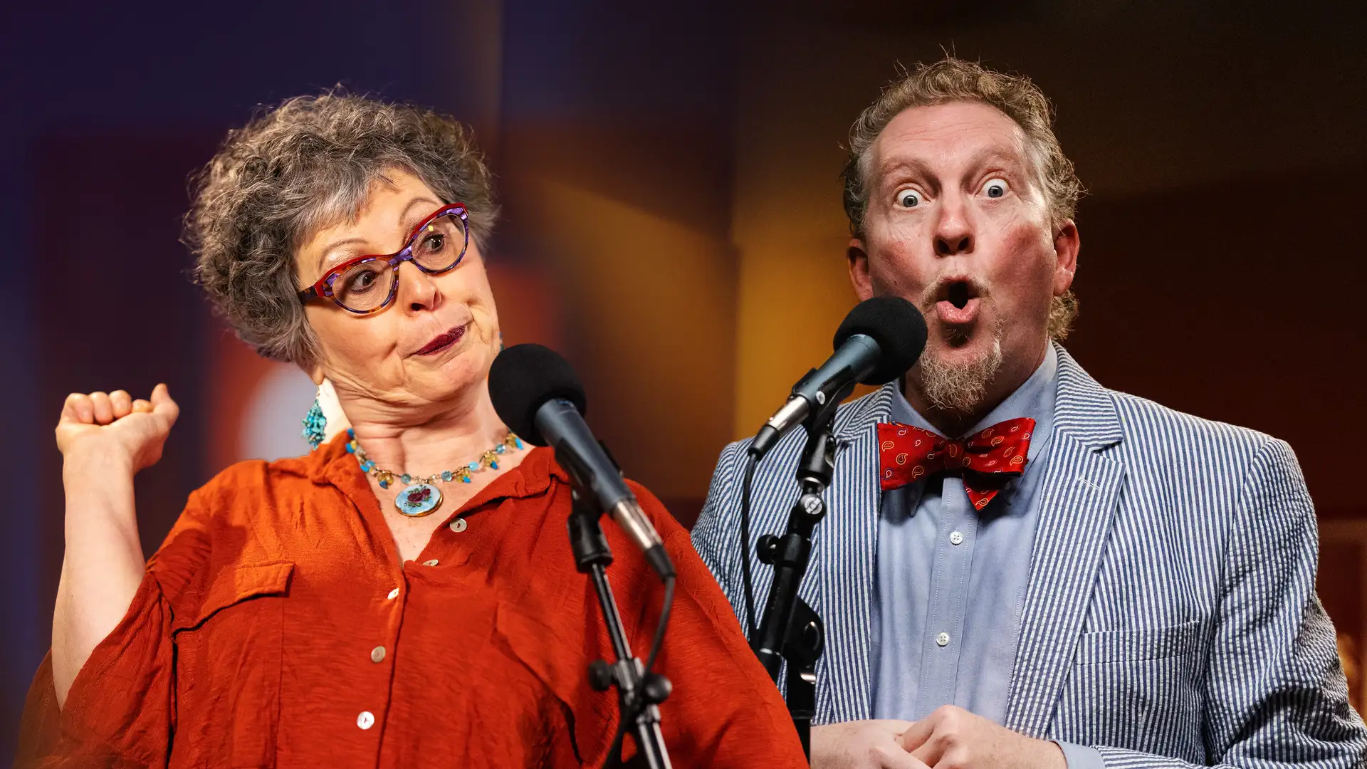 A Little Perspective - Stories for the Whole Family by Noa Baum and Tim Lowry