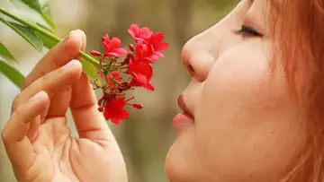 Stereo Smell