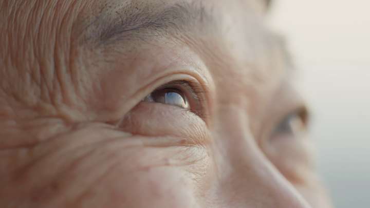 Eyes to See