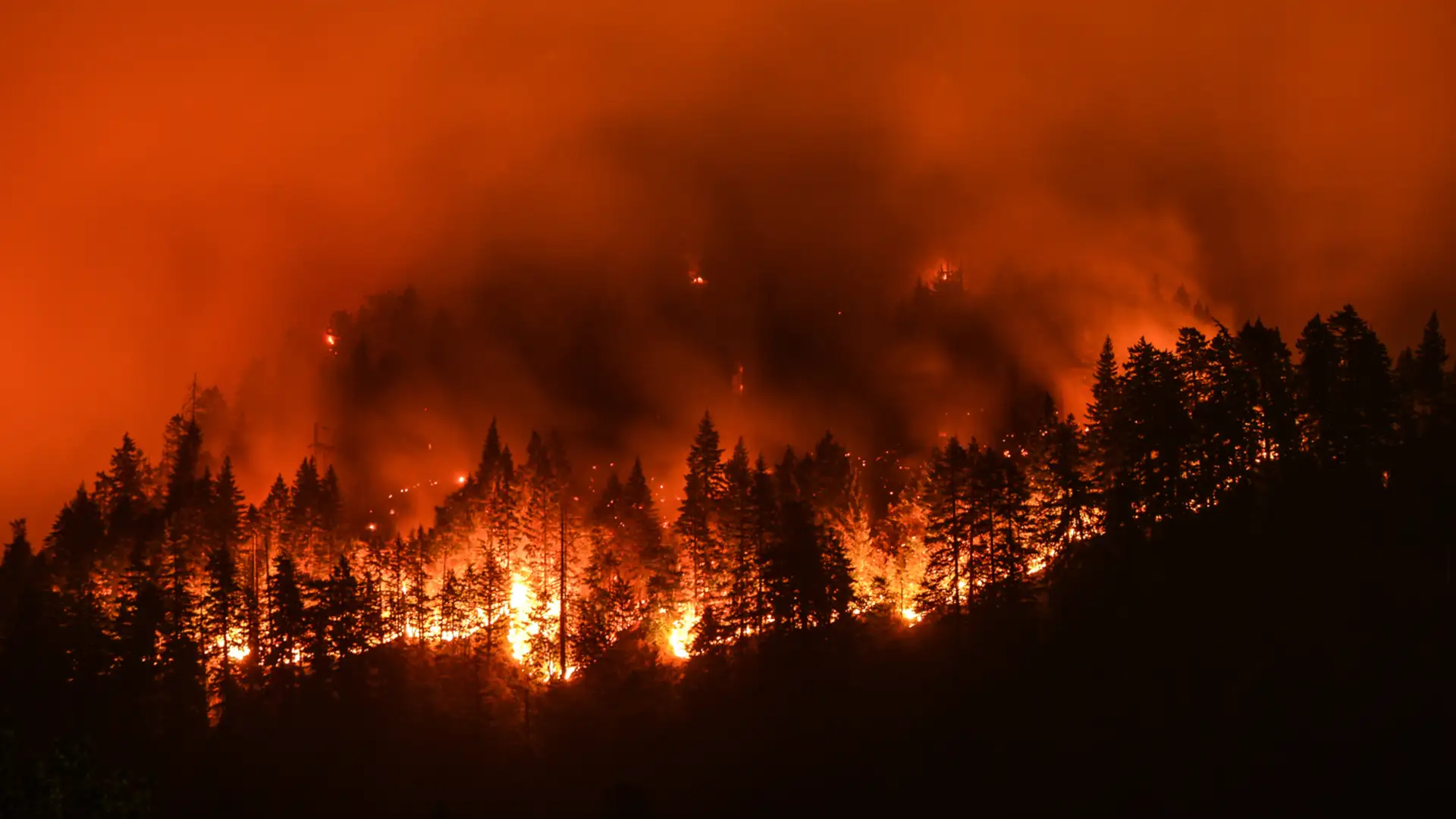 Megafires