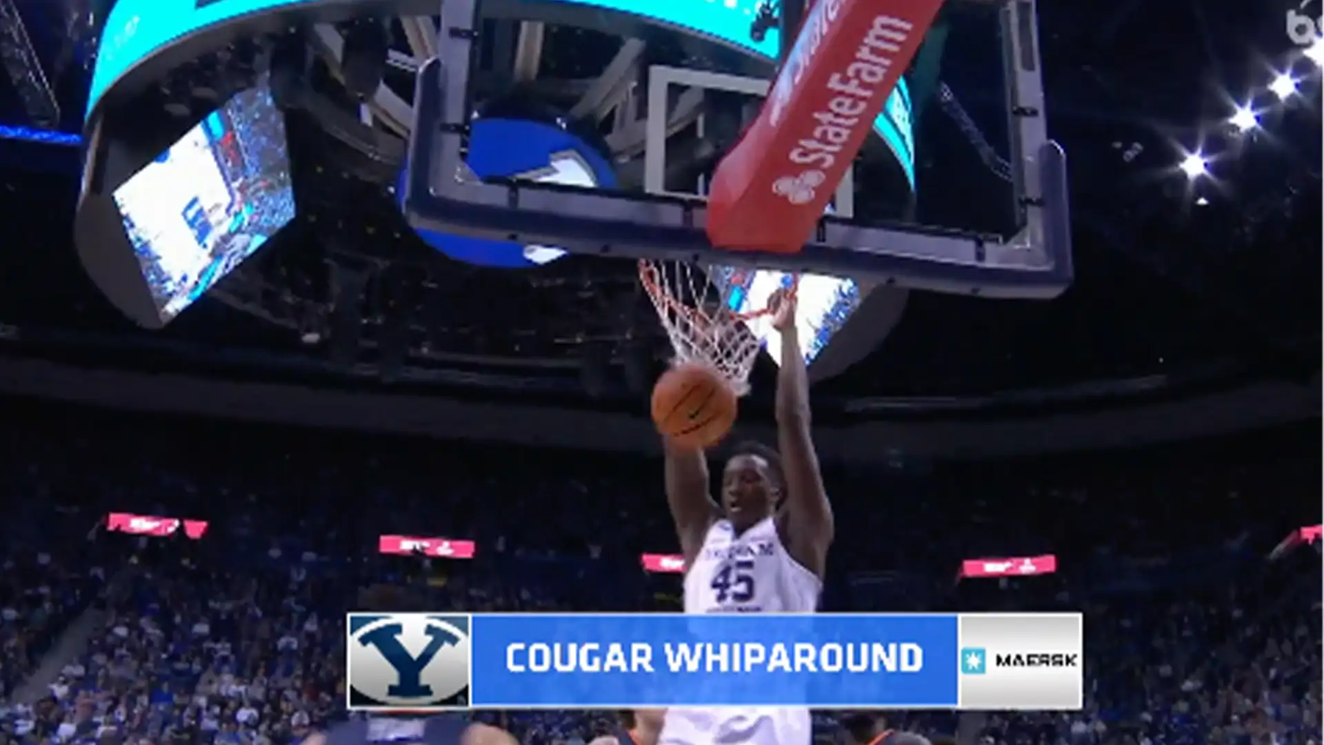 Cougar Whiparound
