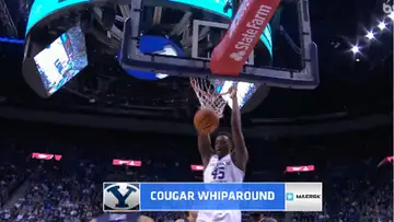 Cougar Whiparound