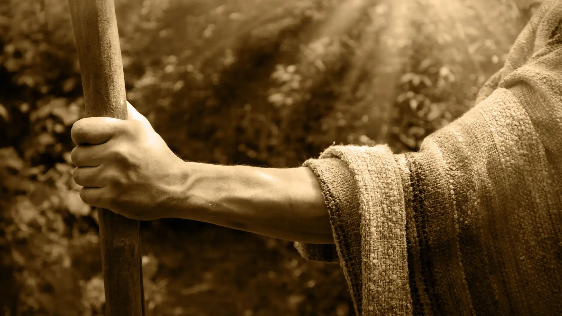 Patterns in Prophecy and Dispensations