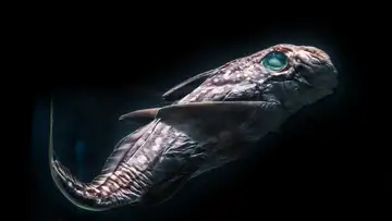 Deep Sea Aquarium