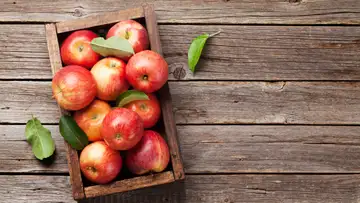 The Humble Apple