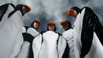 Penguins
