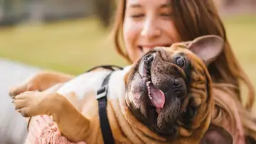 ChopValue, Dog's Love, Academic Acceleration