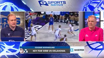 Cougar Whiparound 