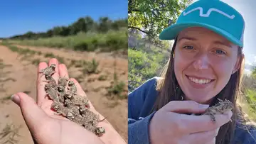 More Than a Mascot: TCU's Fight for the Horned Frog
