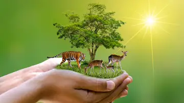 One Gilded Age Eccentric's Fight for the Rights of Animals