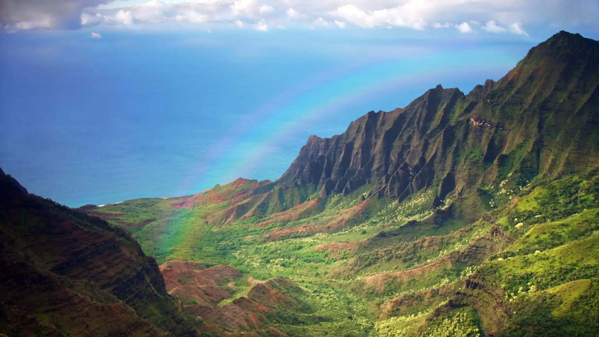 The Genetic Link between Polynesians and Native South Americans 