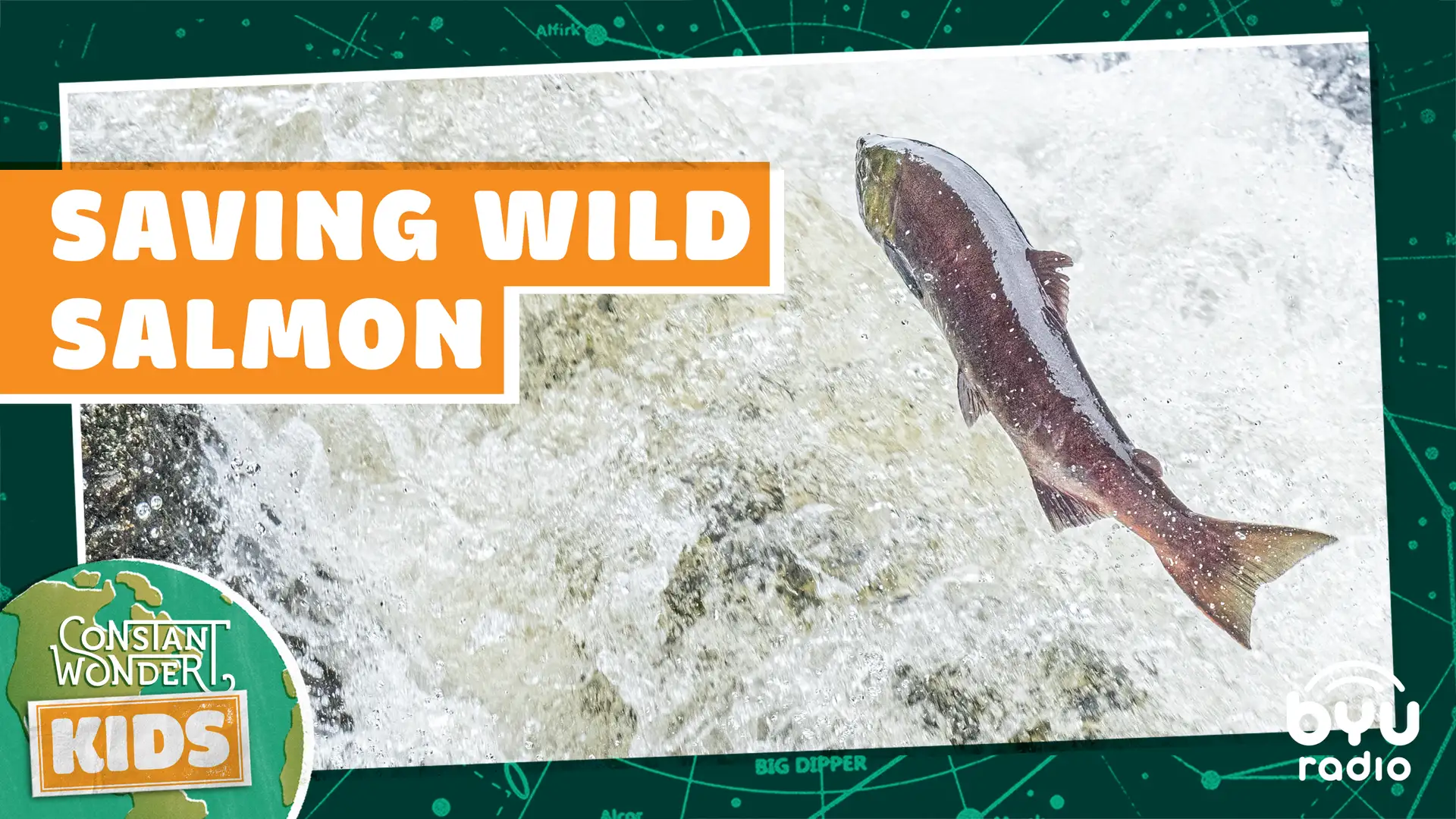 Saving Wild Salmon