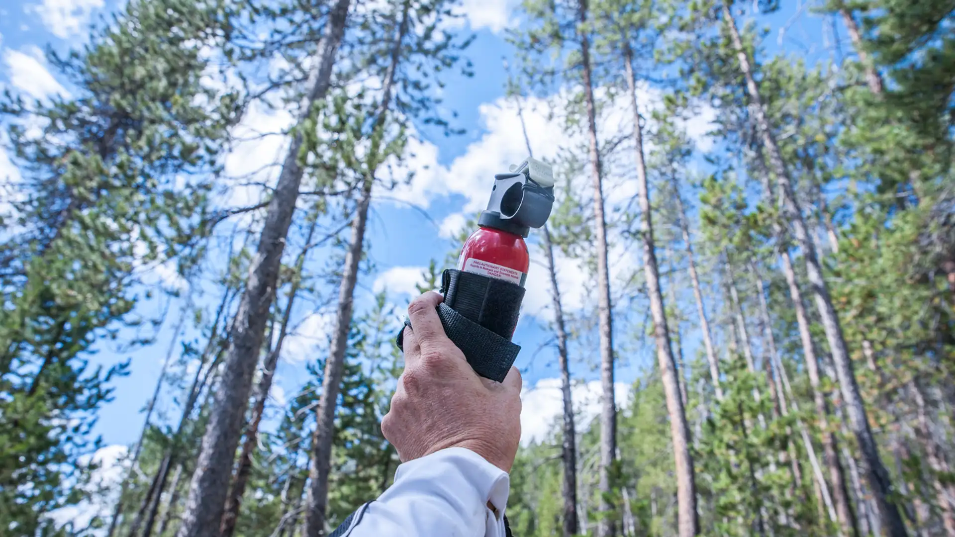 Bear Spray