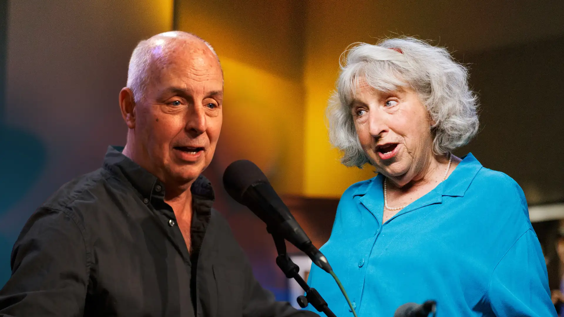 Good Companions - Stories for the Whole Family by Angela Lloyd and Bill Harley