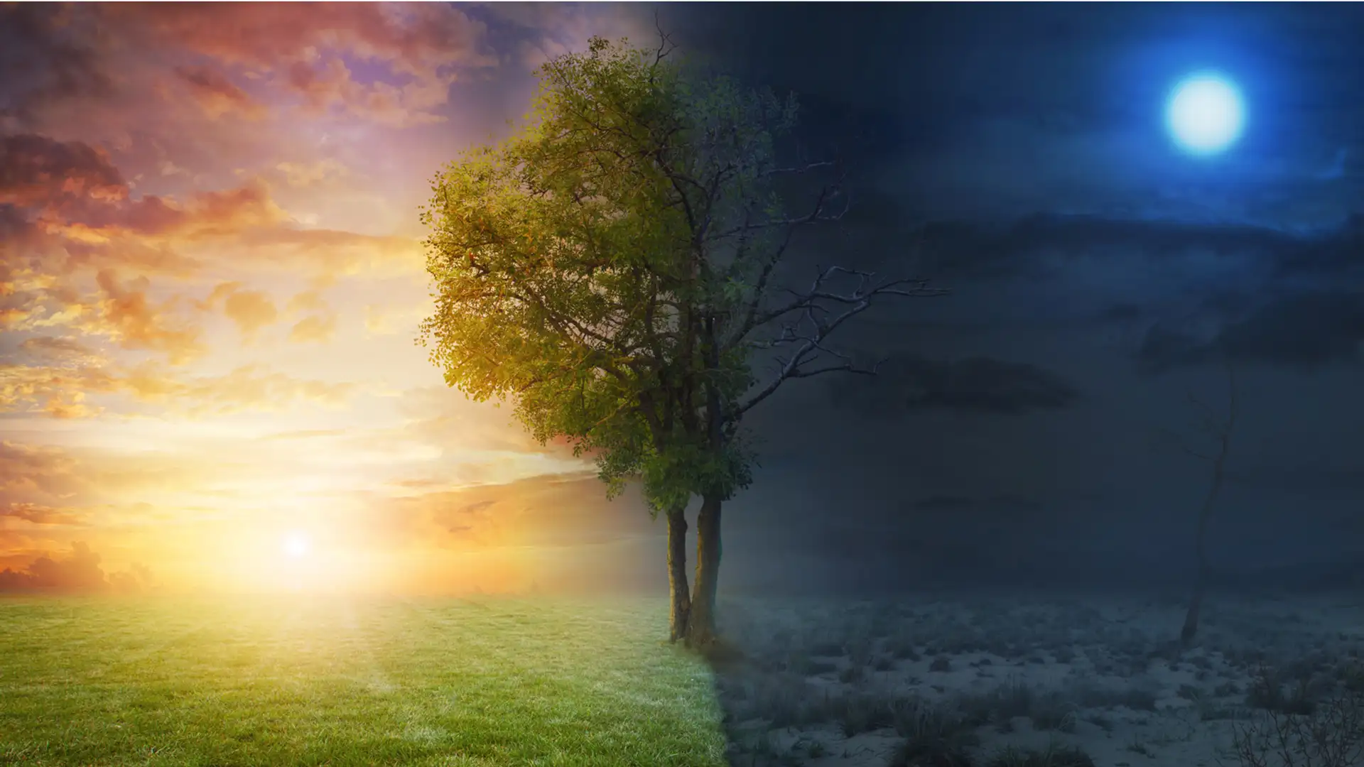 Creation of Day and Night