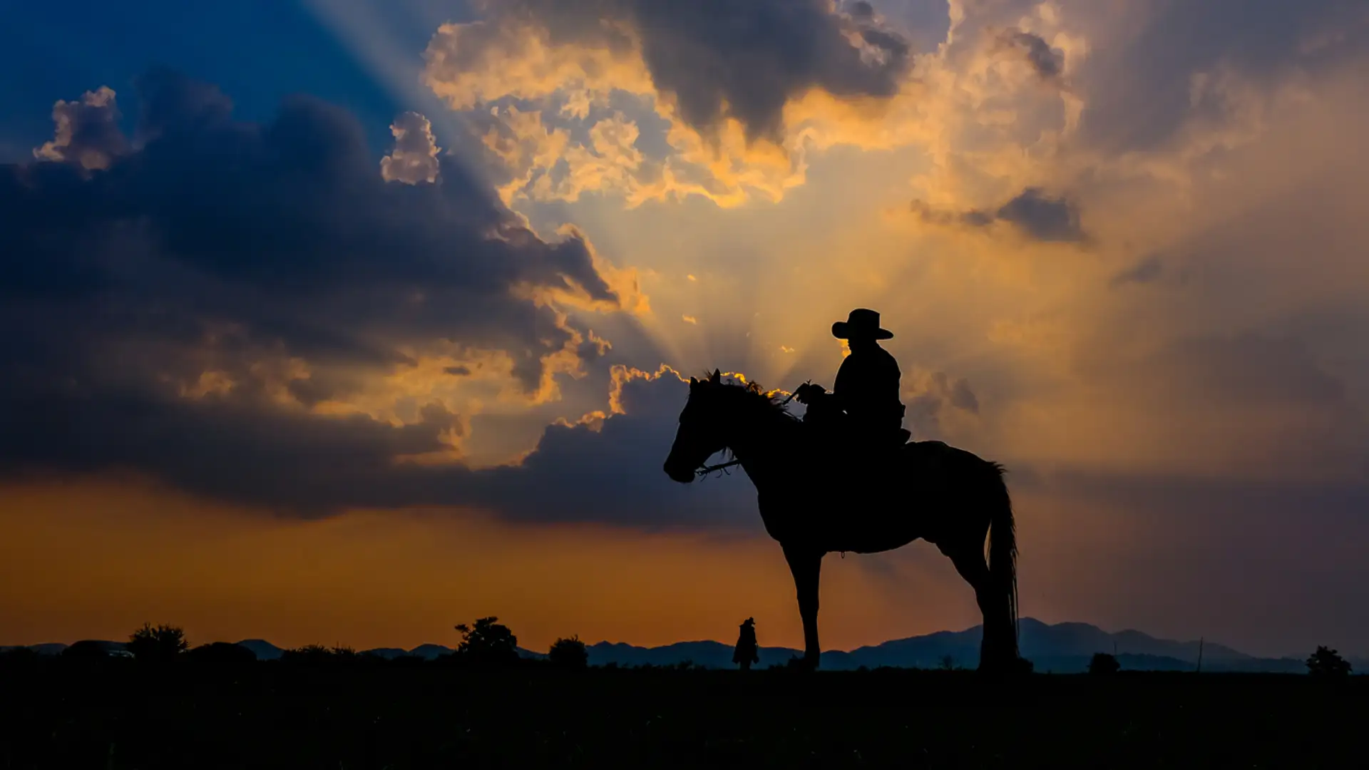 In the Droving Days by Jerry Brooks