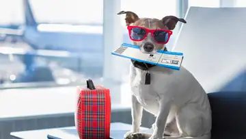 Pet Friendly National Parks