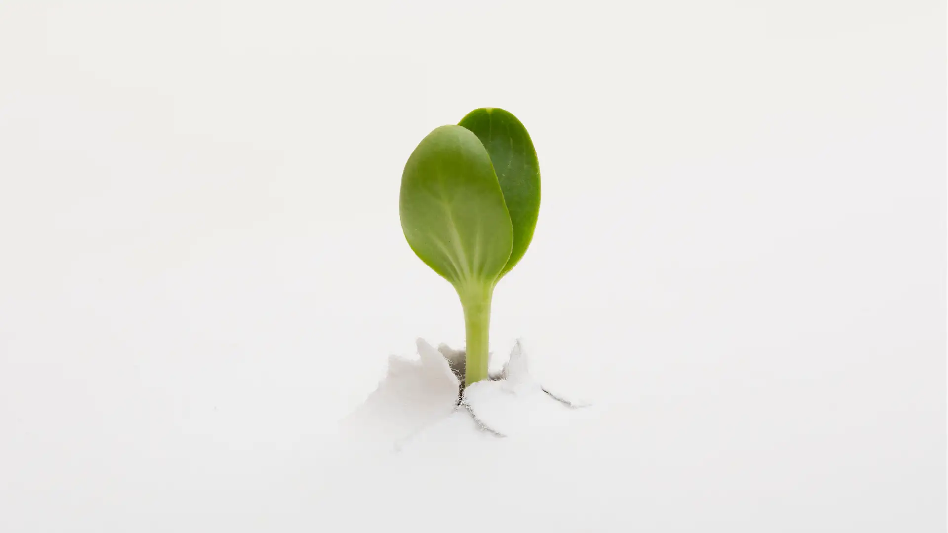 Becoming Is a Joyful Challenge