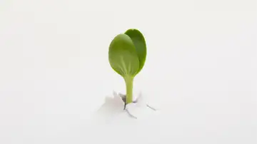 Becoming Is a Joyful Challenge