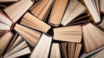 Reader Identity, Favorite Books, and Writing