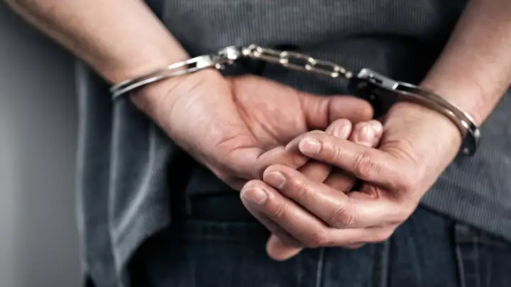 Brain Damage and Criminal Behavior