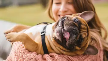Why Do Dogs Love Us?