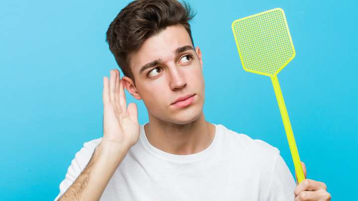 EXTRA **** Why Mosquitoes Buzz in People's Ears