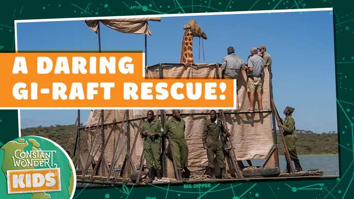 A Daring Gi-Raft Rescue