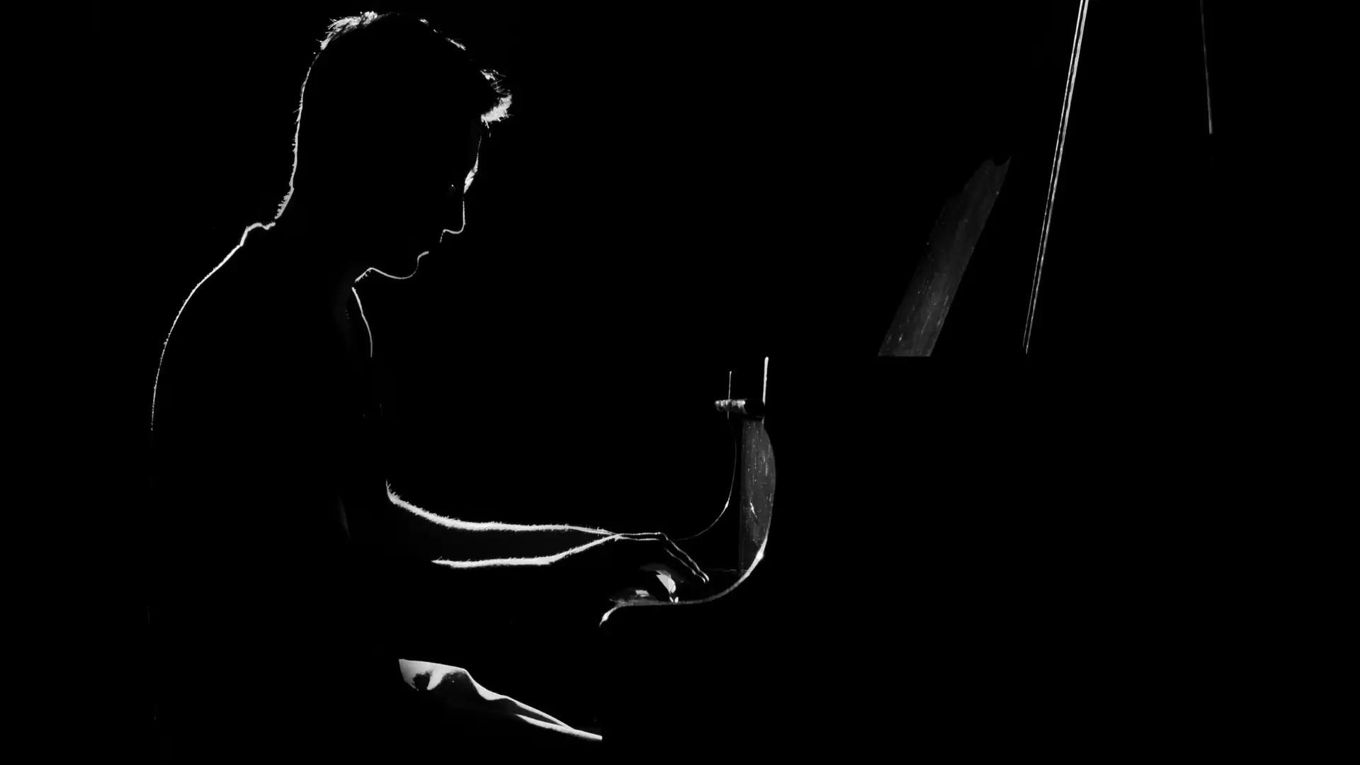 Lautenwerck: The Long Lost Baroque Instrument