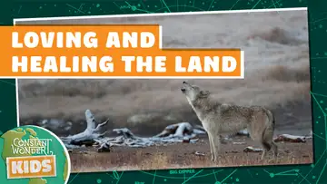 Loving and Healing the Land