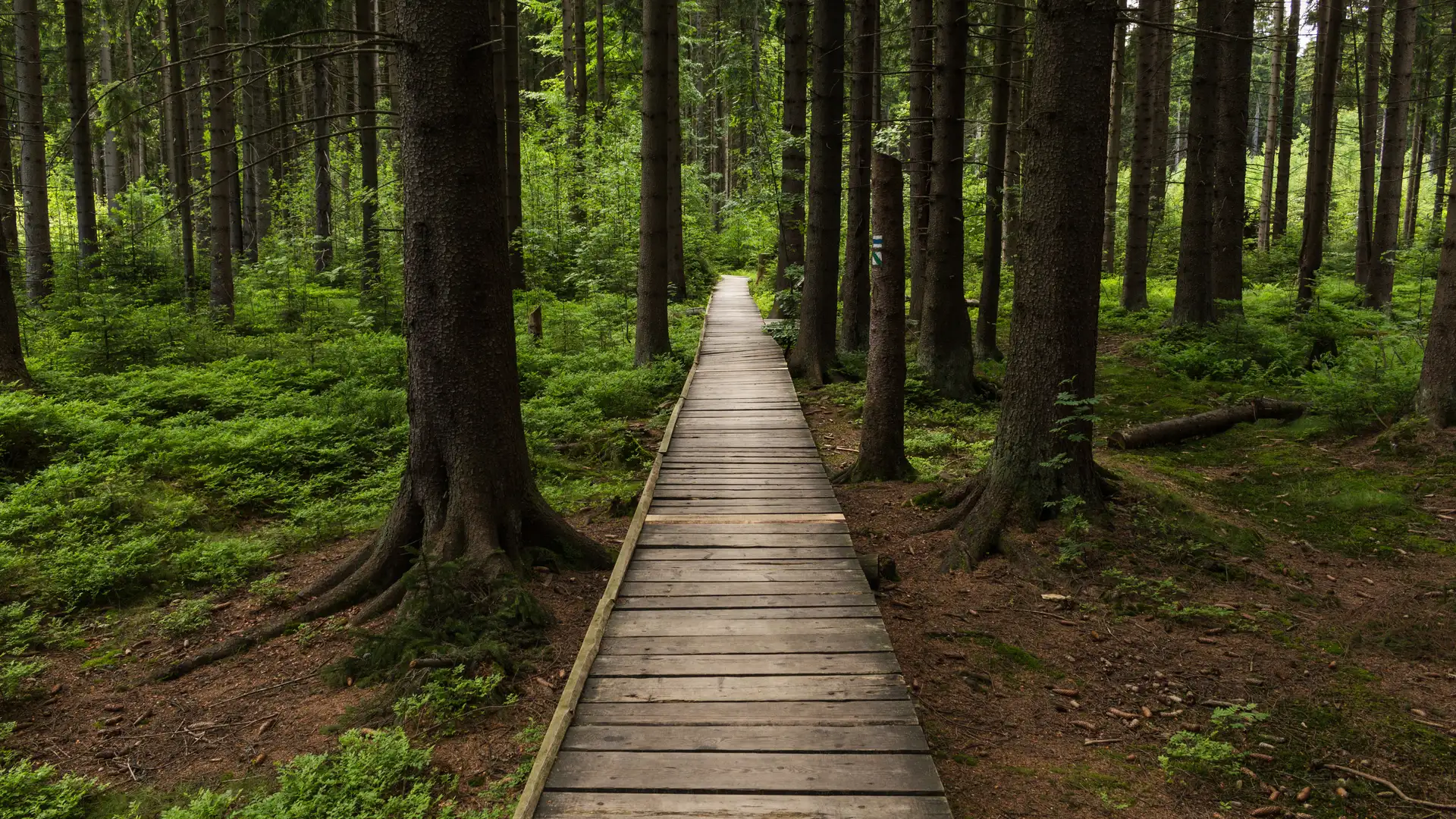 Following the Path of Truth