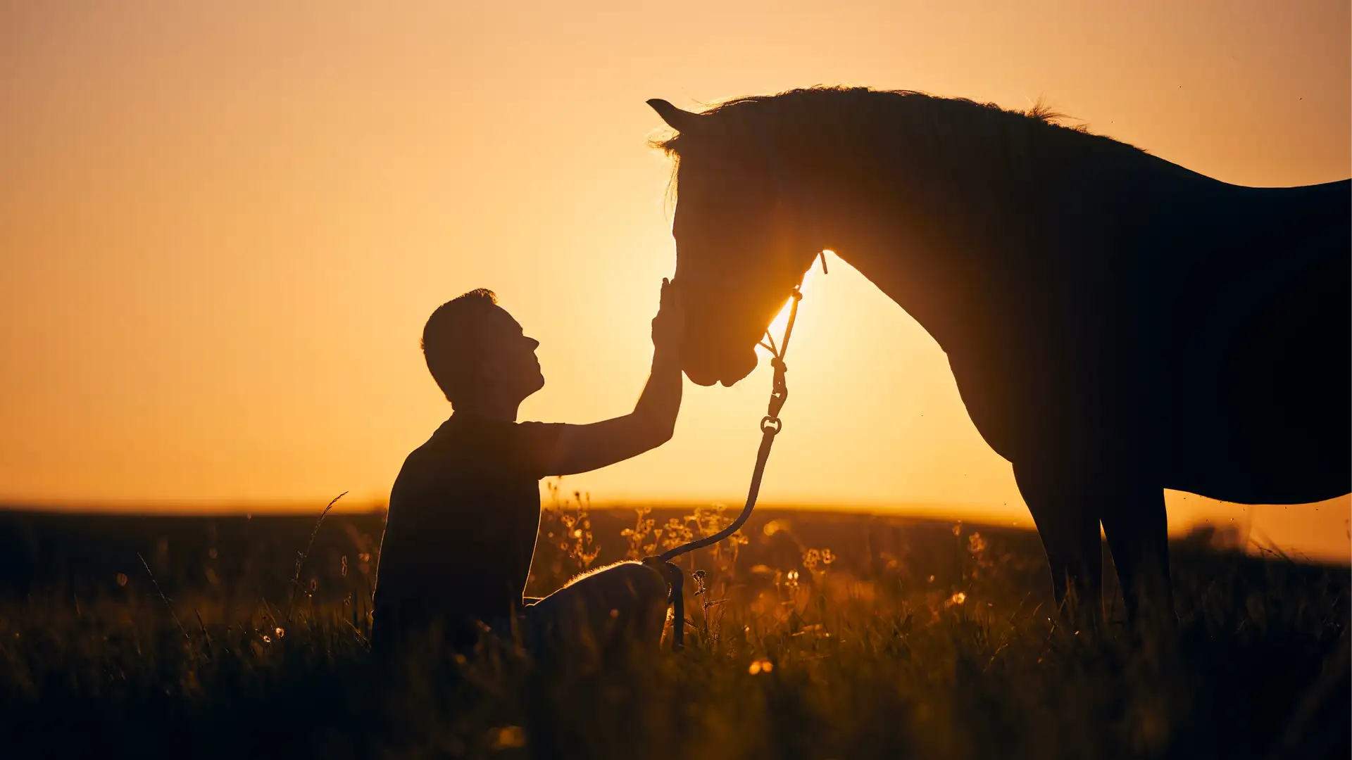 Our earthy stewardship