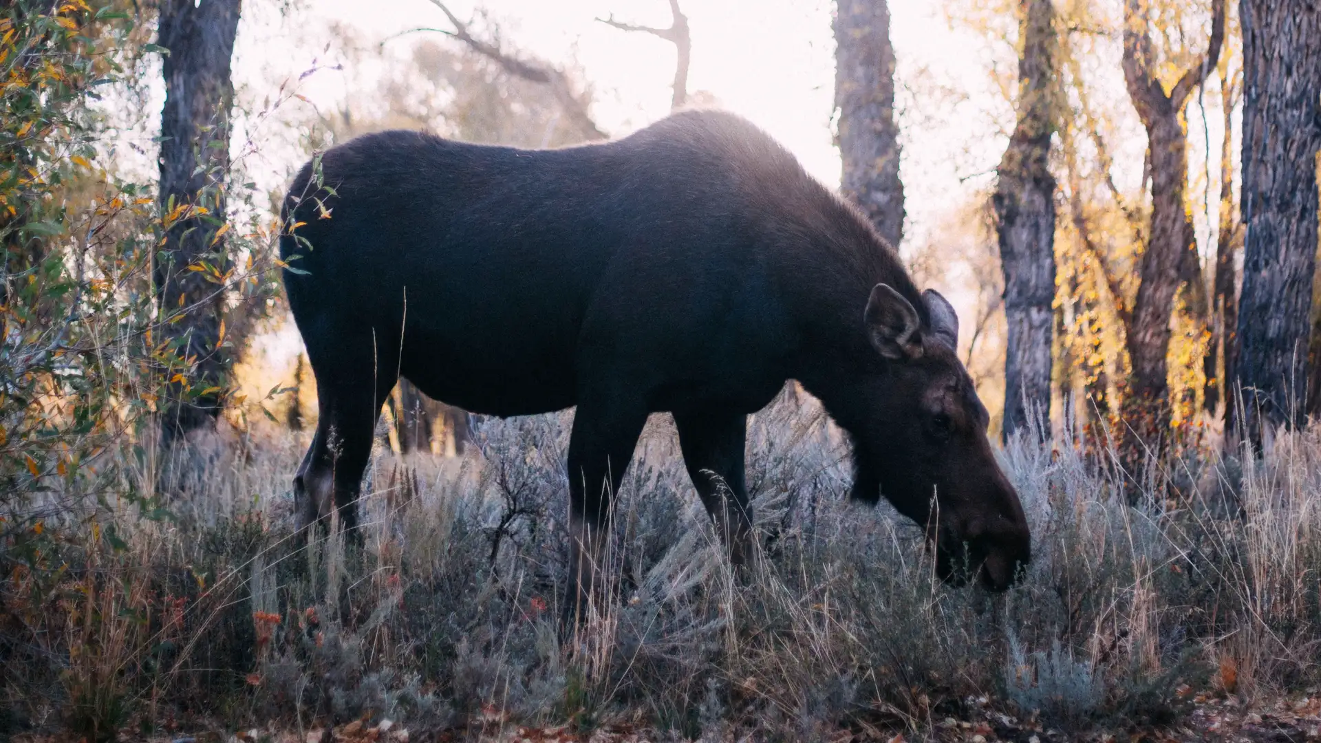 S4 E7: Fear and Wonder in the Natural World