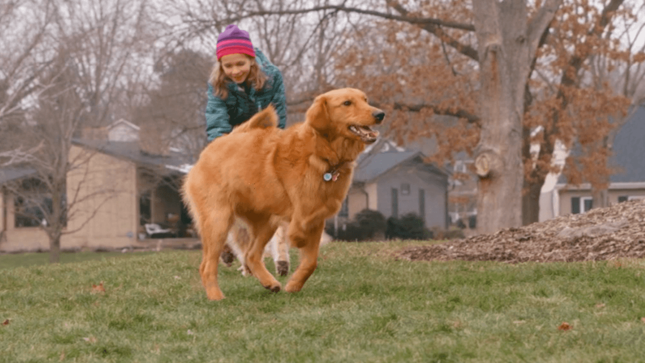 zoey-the-wizard-of-paws-byutv