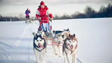 Iditarod