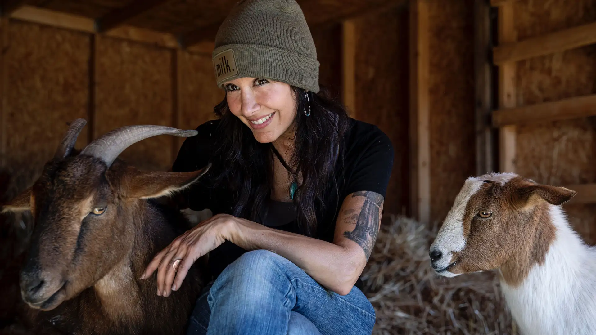 Dr. Joanne Cacciatore